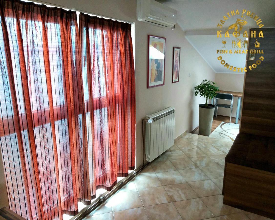 Zlatna Ribica Apartment โกลูบาค ภายนอก รูปภาพ