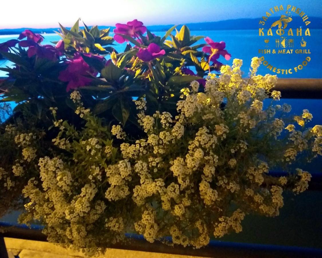 Zlatna Ribica Apartment โกลูบาค ภายนอก รูปภาพ