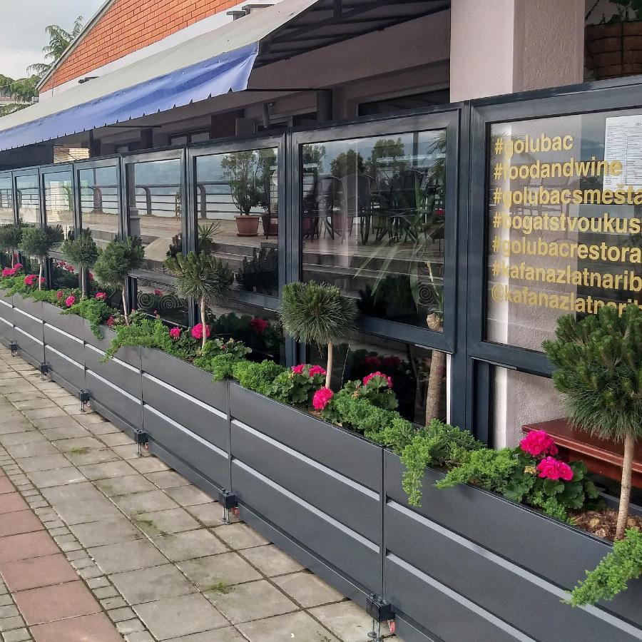 Zlatna Ribica Apartment โกลูบาค ภายนอก รูปภาพ